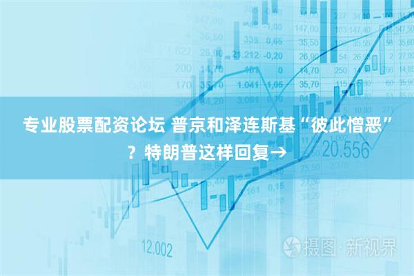 专业股票配资论坛 普京和泽连斯基“彼此憎恶”？特朗普这样回复→