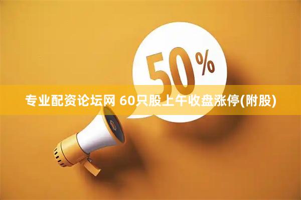 专业配资论坛网 60只股上午收盘涨停(附股)